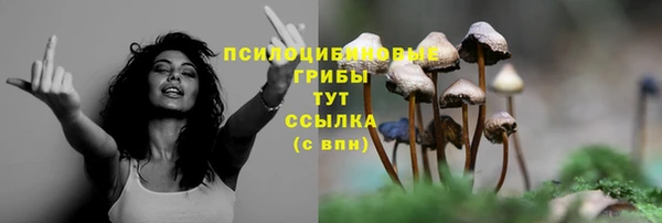 дмт Чердынь