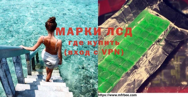 стафф Чекалин