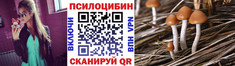 Купить где  Теберда  Псилоцибиновые грибы ЛСД 